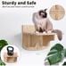 cat wall shelves