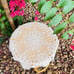 Vintage new handmade crochet beige round 23.6” table cloth AG0804