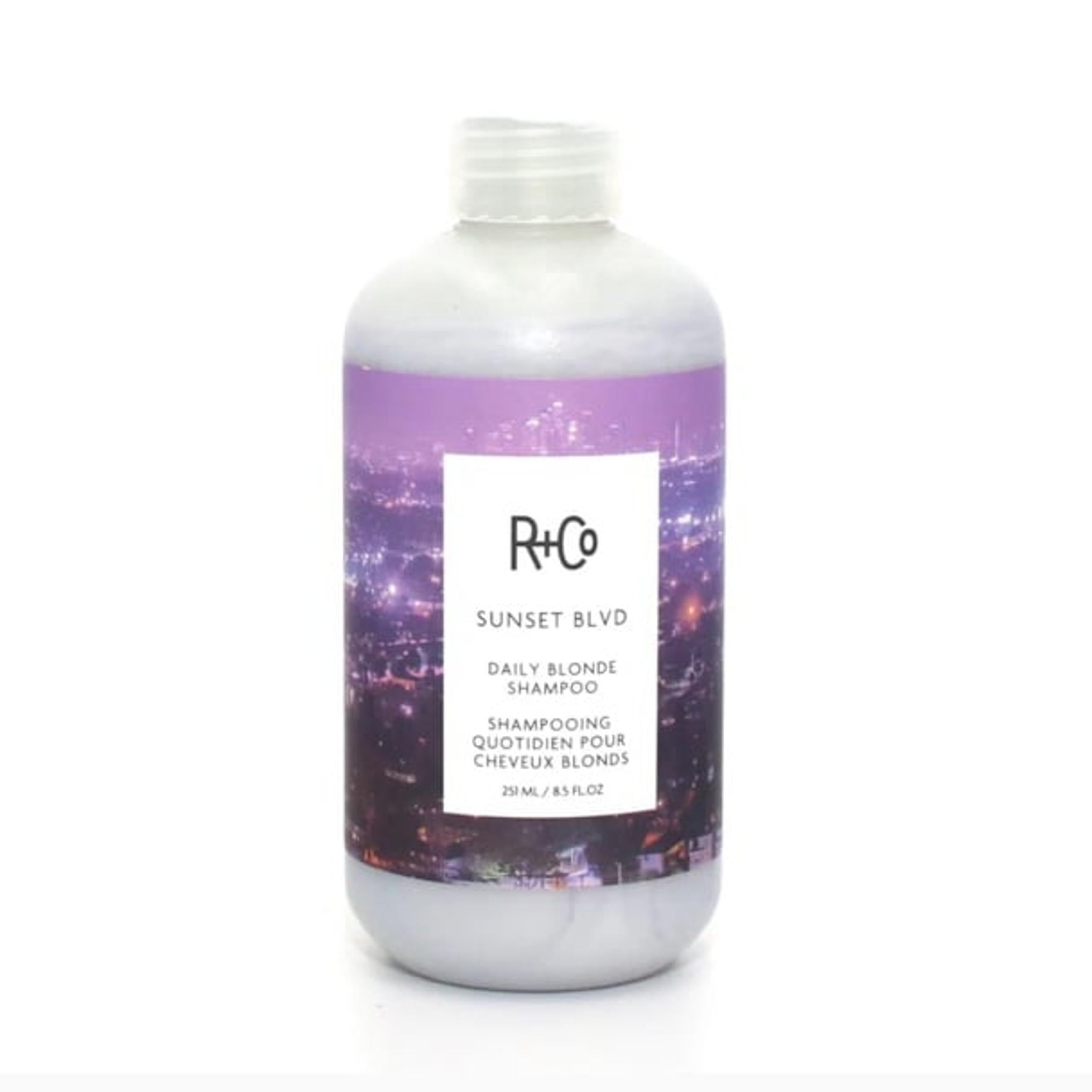 R+CO SUNSET BLVD DAILY BLONDE SHAMPOO 8.5 OZ