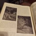 THE HOLY BIBLE OT. AND NT. ORIGINAL TONGUES SELF - PRONOUNCING EDITION