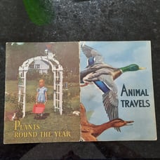Vintage The Basic Science Education Series Lot of 2