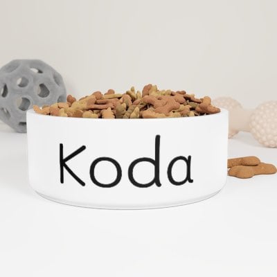 Ceramic custom Dog bowl