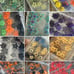Lot dried flowers