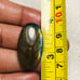 Labradorite Oval Shape Cabochon-LBDL-14-07
