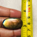 Labradorite Oval Shape Cabochon-LBDL-14-07