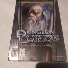 Dungeon Lord's PC game