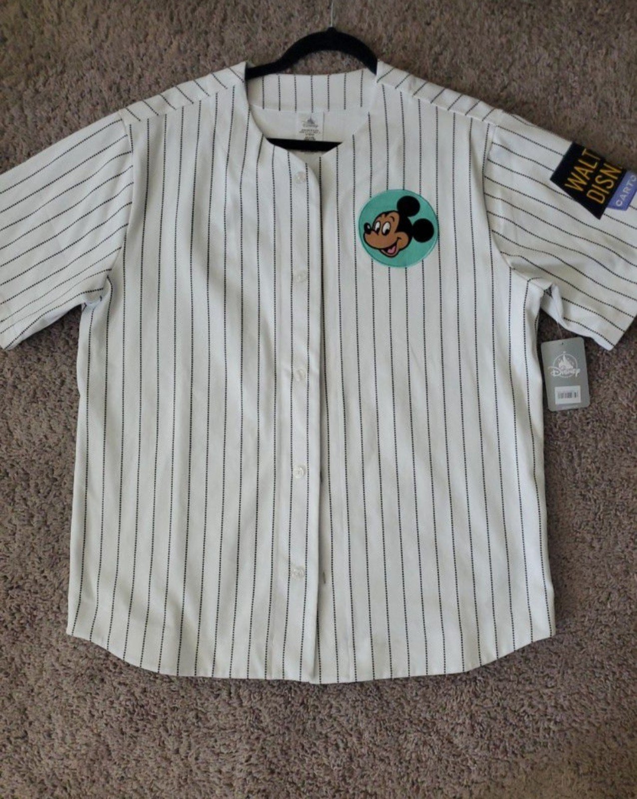 Disney Park Mickey & Friends Jersey
