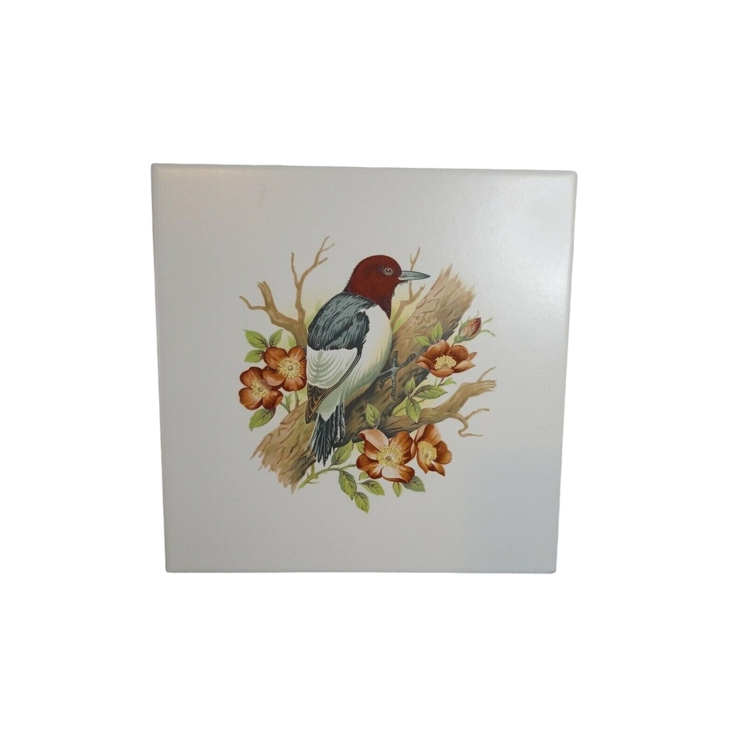 TCC 7 3/4" Ceramic Tile Red Headed Woodpecker White Background Design