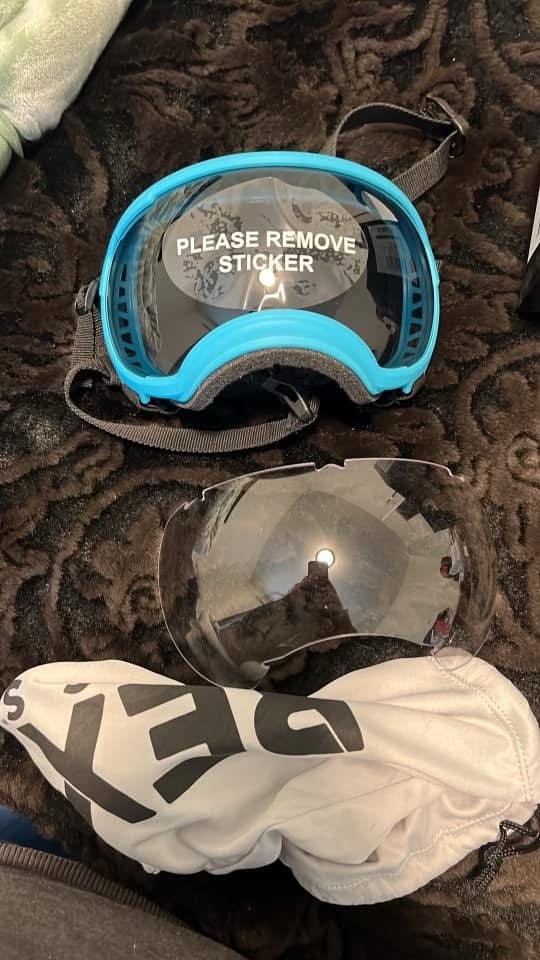 Rex specs large bighorn blue