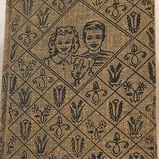 Bobbsey Twins the Forest Adventure 1957