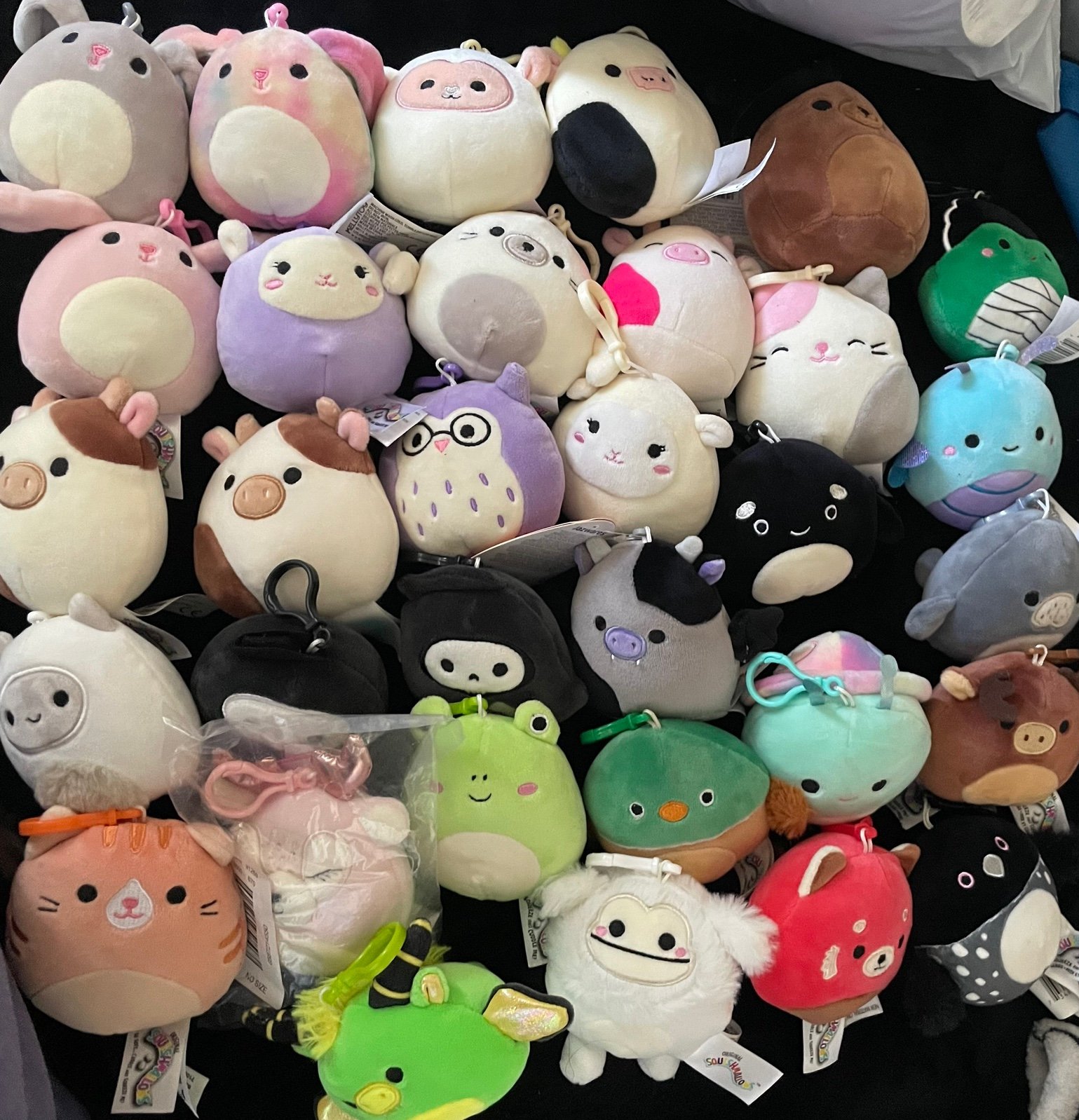Squishmallow clip bundle