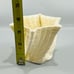Vintage Belleek Ireland Limpet Flower Pot Planter Vase 3.25”