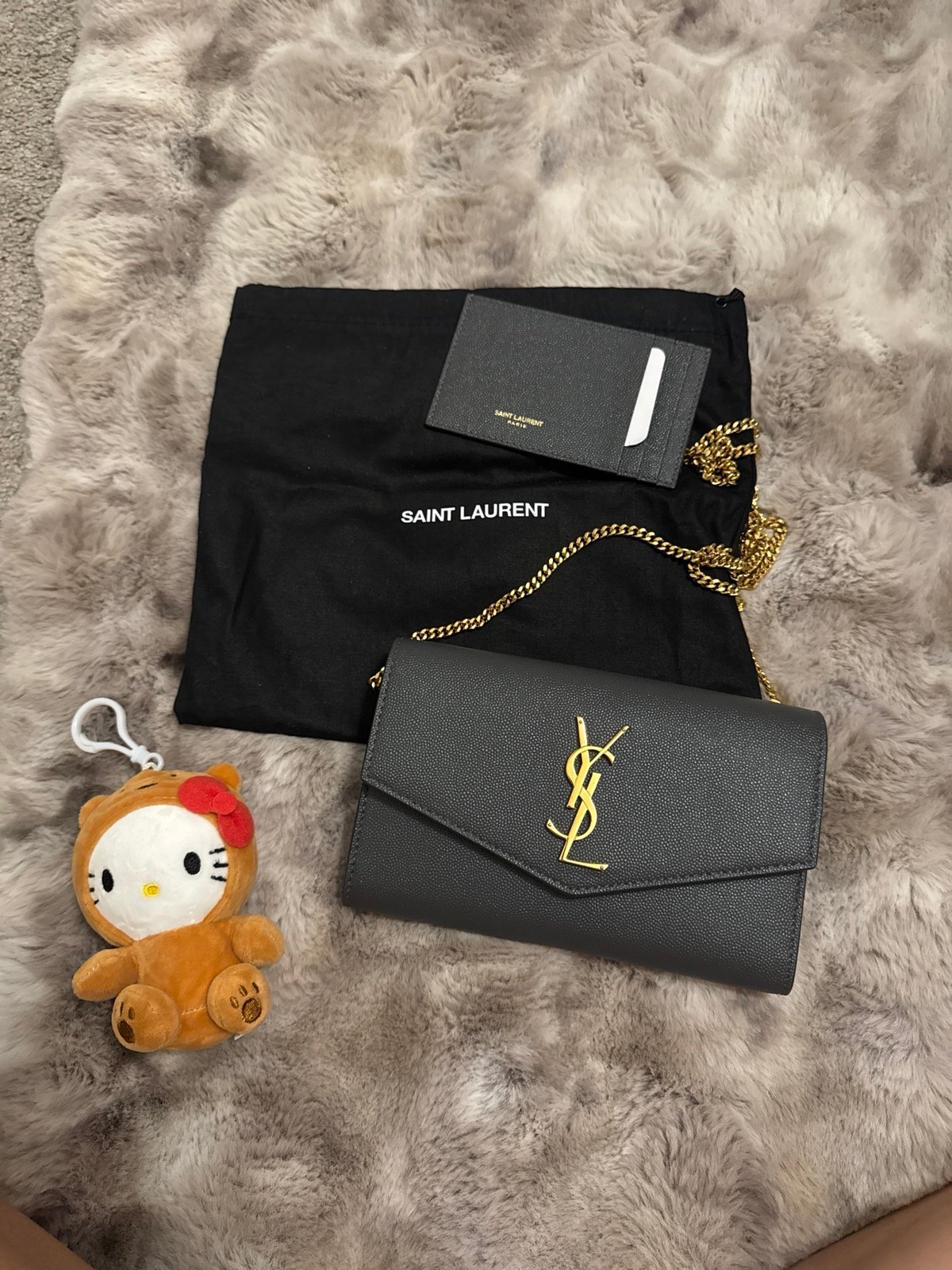 YSL Purse/WOC