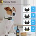 Brand New Training Collar for Dogs Puppies