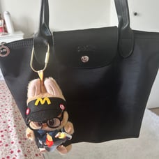 Long champ Small Le Pliage