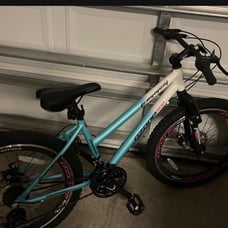 Ozone bike