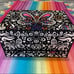 Lisa Frank Fuzzy Treasures Butterfly Craft Box