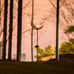 Moon Solar Garden Lights Outdoor Stakes, Waterproof Crackle Glass Metal