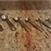 Close to a brand new set of seasoning teaspoons