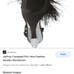 Jeffrey Campbell feather heel
