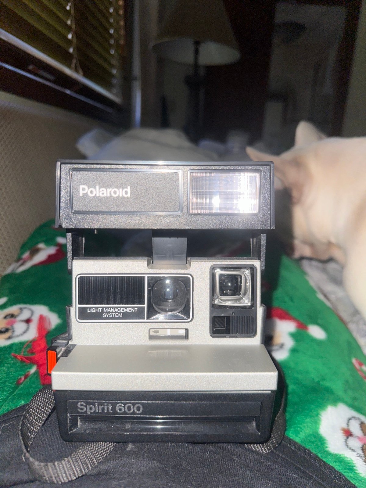 Polaroid spirit 600