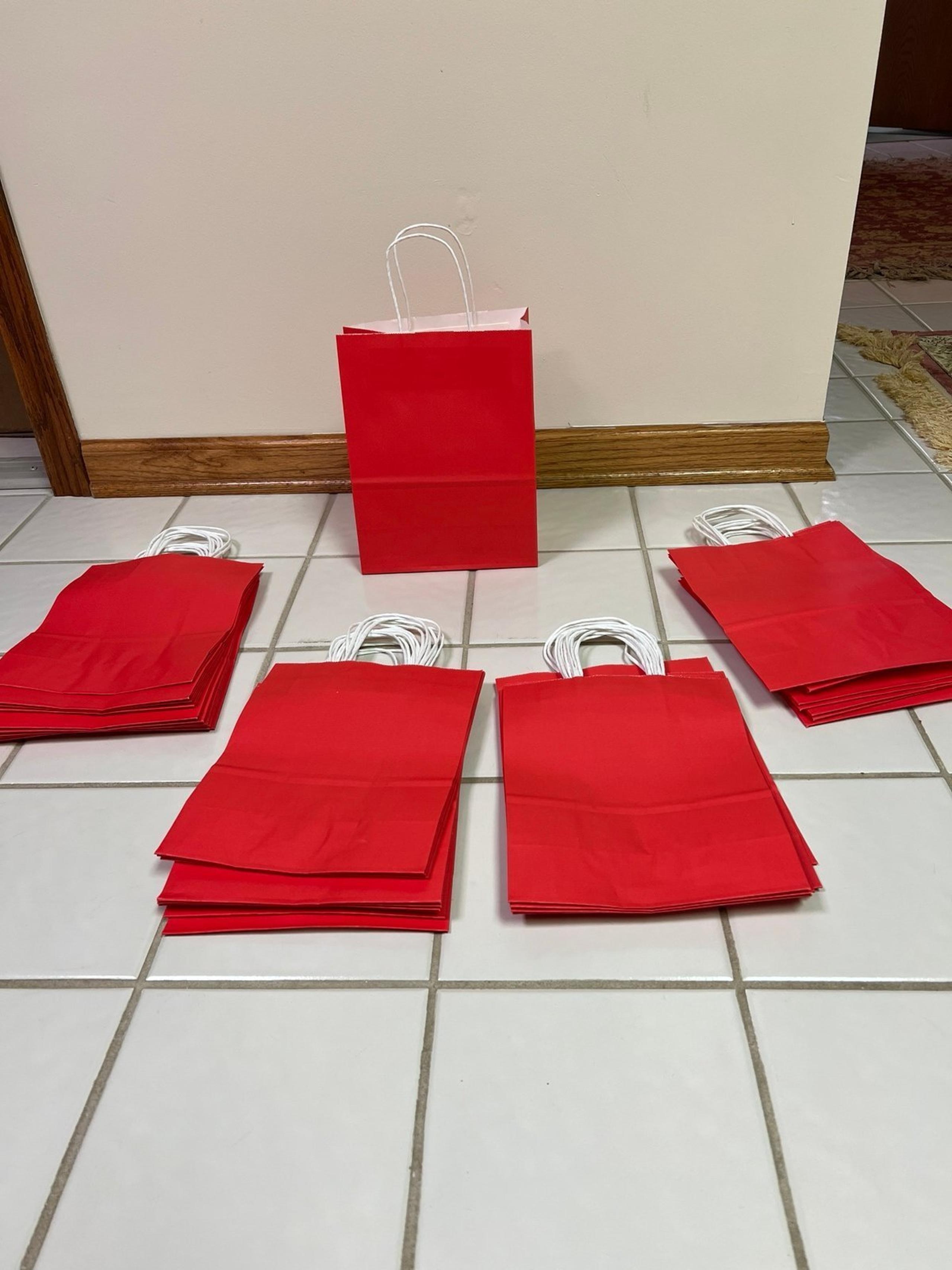 40-Red Medium size bags
