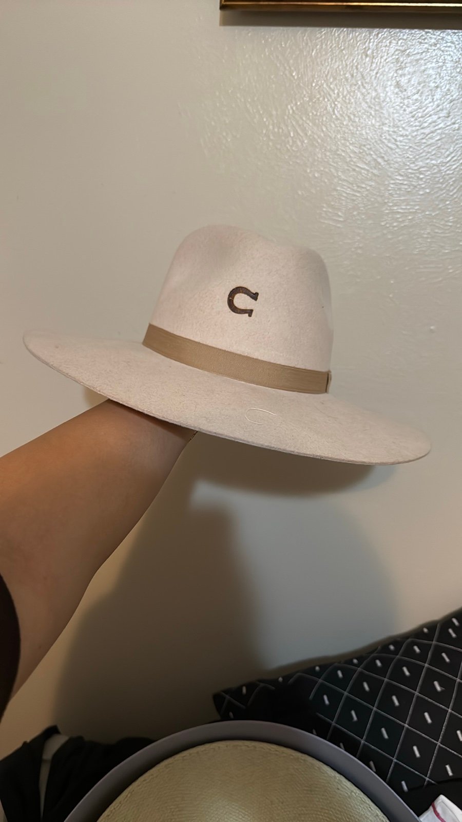 Charlie1 horse hat