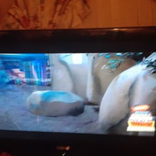 flat screen tv