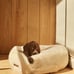 UnHide Floof Donut Pet Bed MEDIUM 28 x 10 BEIGE BEAR Sealed New