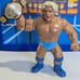 WWF Hasbro Ric Flair Retro w WCW title and Acrylic Case
