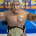 WWF Hasbro Ric Flair Retro w WCW title and Acrylic Case