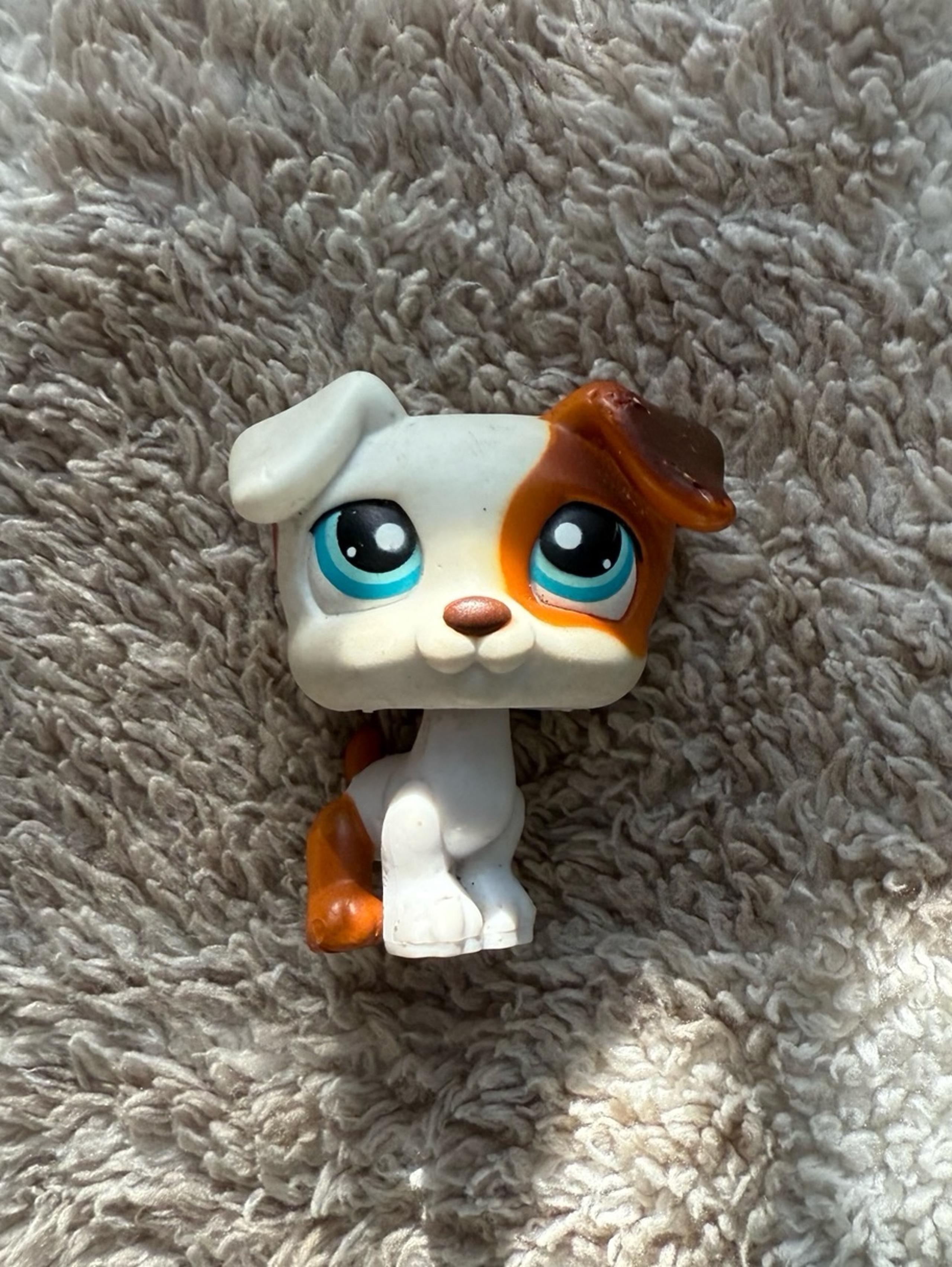 lps jack russell