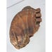Wilson A2800 First Base Glove Right Hand Throw *READ*