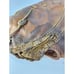Wilson A2800 First Base Glove Right Hand Throw *READ*