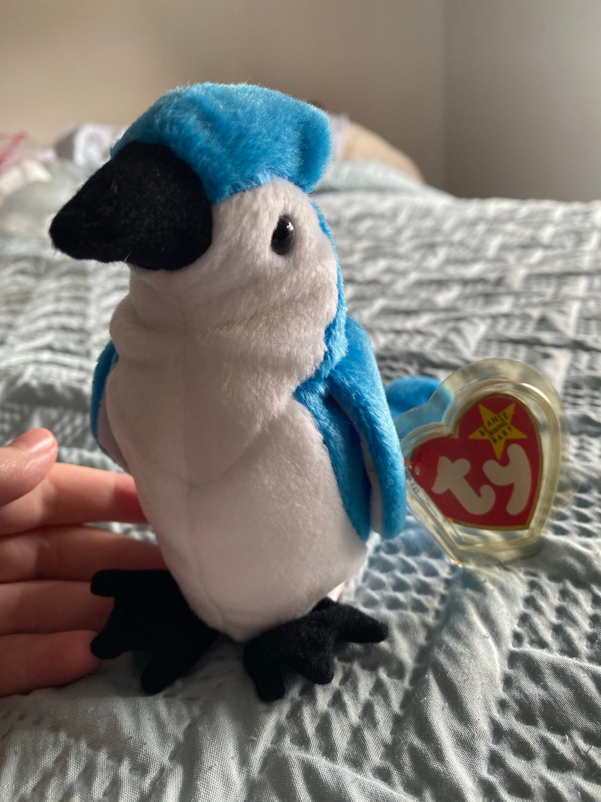 1997 Ty Beanie Babies Rocket The Blue Jay with errors