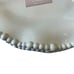 Rachel Ashwell Pastel Blue Pearl Shimmer Melamine Plates 9in Set of 4 New