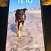 Apple iPhone 13 256 GB