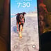 Apple iPhone 13 256 GB