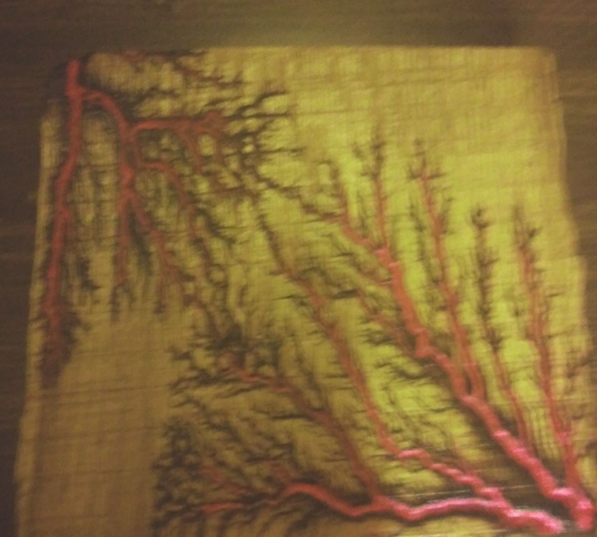 Solid raw oak burnings and ink picture T