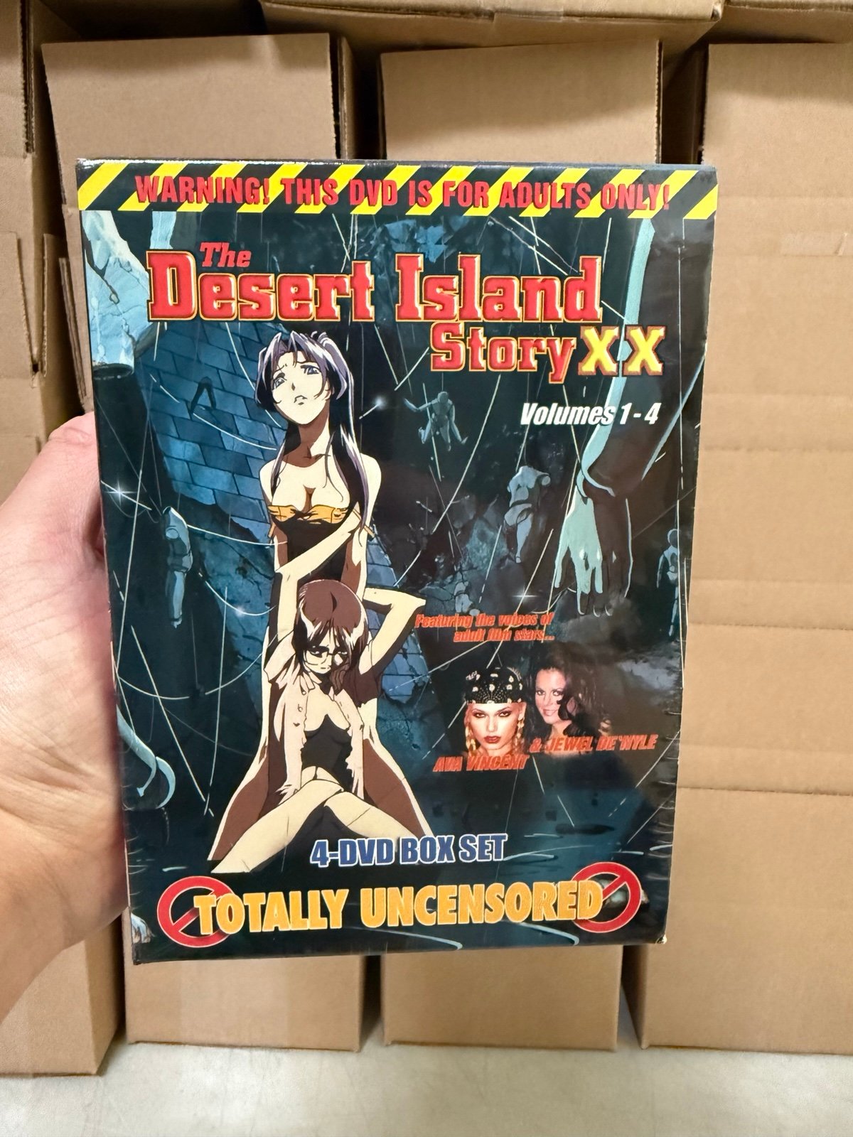 DVD DESSERT ISLAND STORY XX VOL 1-4 BOX SET