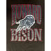 Vintage Starter Howard Bison HBCU Logo Crewneck Sweatshirt