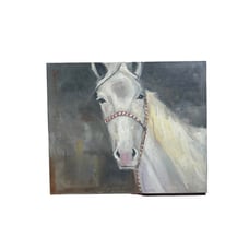 Beautiful White Horse Canvas Art Painting 24 x20 Wood Framing