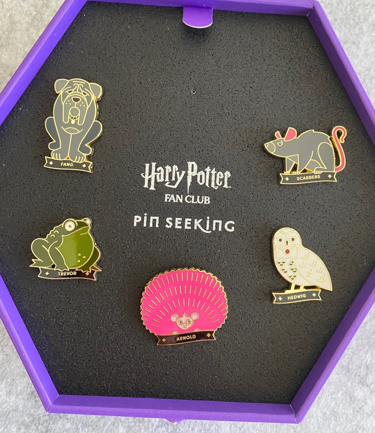 hogwarts pets (5) Pin set pin seeking