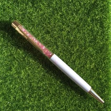PenGem