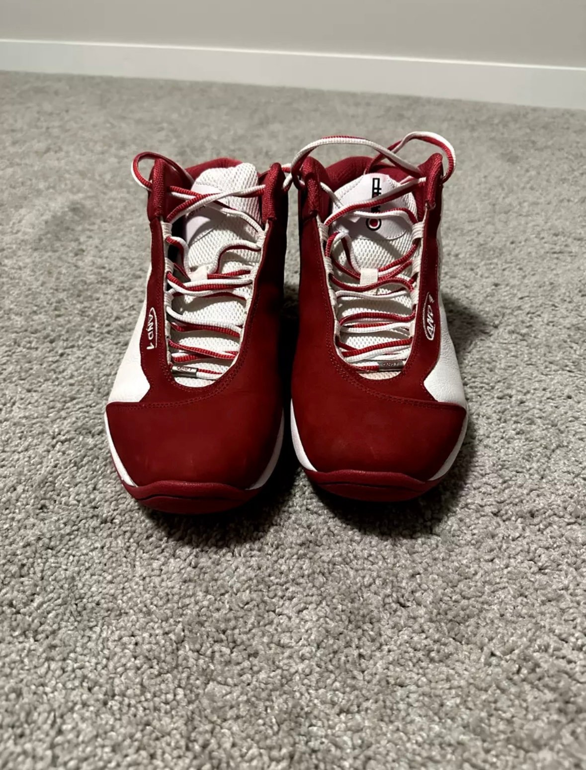 Isaiah Canaan Player Exclusive PE AND1 Tai Chi Basketball Shoes