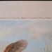 1989 Countrysport Signed & Numbered Terrill Knaack Alder Fork Woodock Print