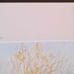 1989 Countrysport Signed & Numbered Terrill Knaack Alder Fork Woodock Print