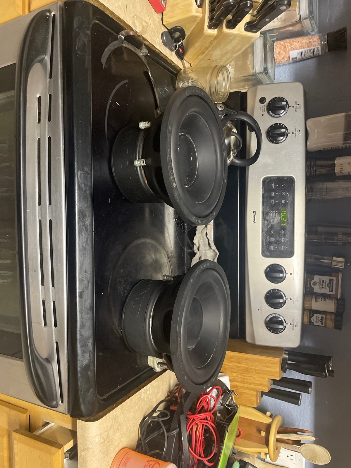 Diamond audio d3 10’s in pretty rough shape but still working *one has a crack*