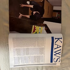 Kaws XX Vintage Magazine