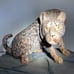 Fred clements wooden leopard carving